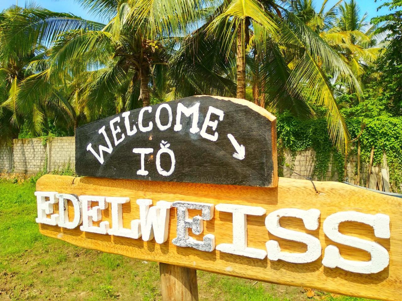 Edelweiss