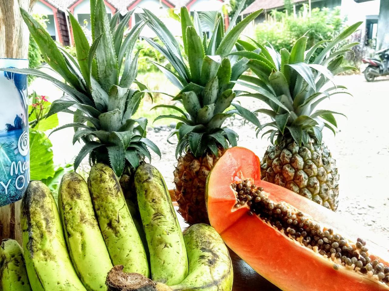 Edelweiss Homestay Kuta (Lombok)